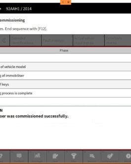 Porsche Cayenne Immobiliser Commissioning (Remote Service)